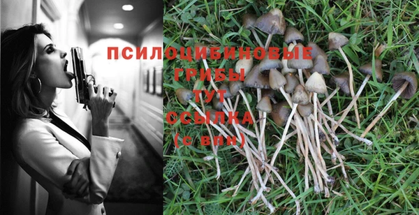 PSILOCYBIN Семикаракорск