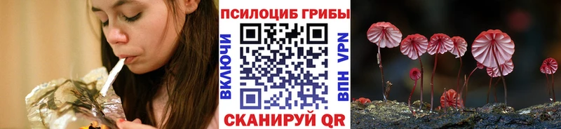 Псилоцибиновые грибы прущие грибы  shop Telegram  Велиж  купить наркотик 
